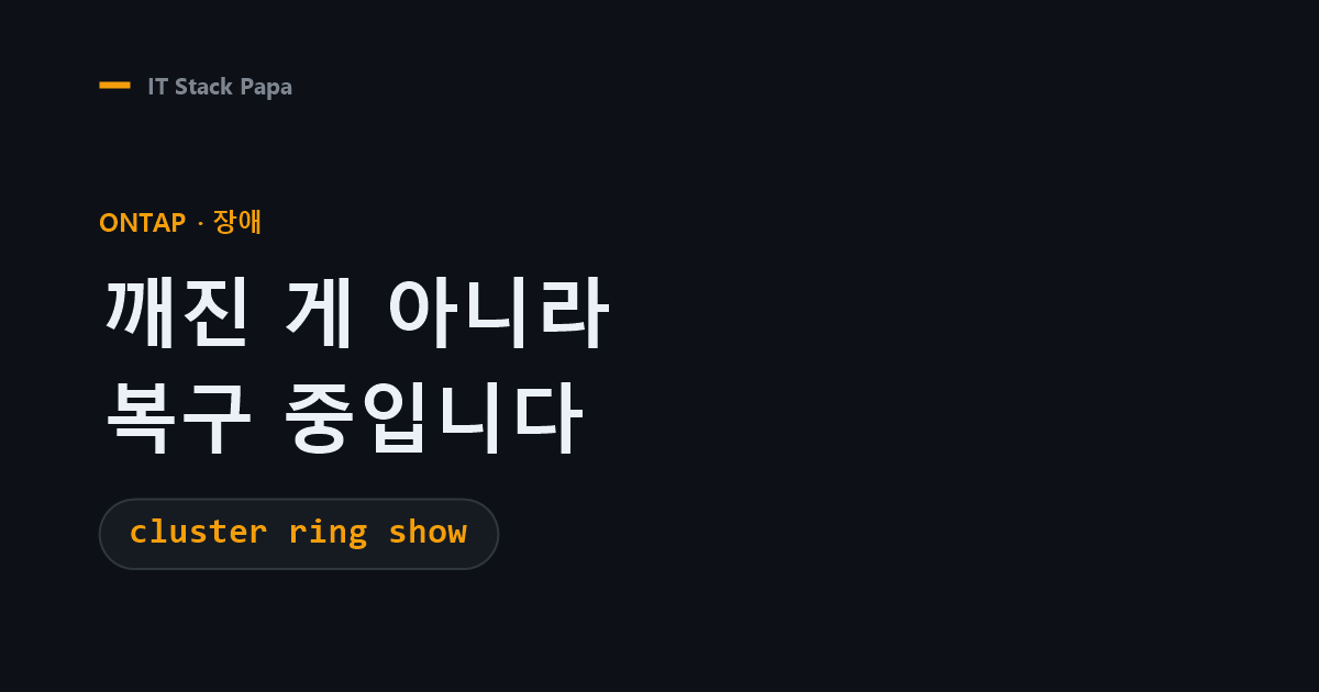 ONTAP 강제 종료 후 cluster ring show로 RDB 정족수 상태를 판정하는 법